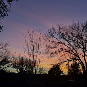 Meet your Posher, supernova